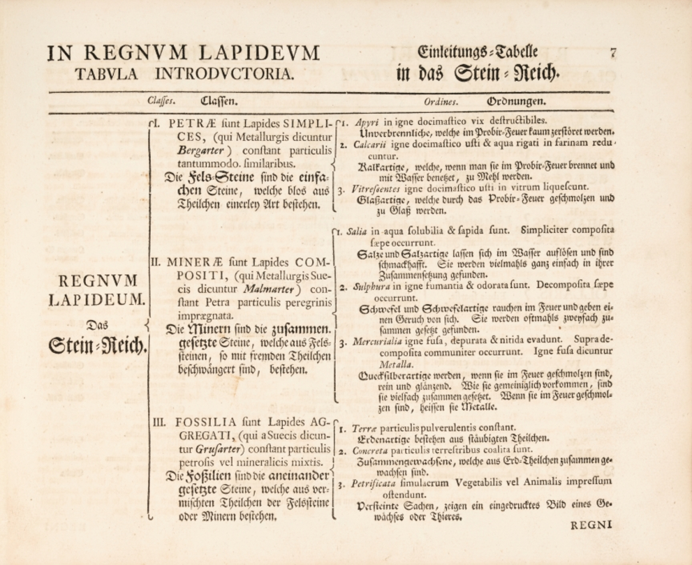 Das Stein-Ordnungssystem in Langes Linné-Edition.
