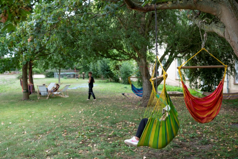 On a green orchard meadow, young people relax in hanging chairs and on deckchairs.