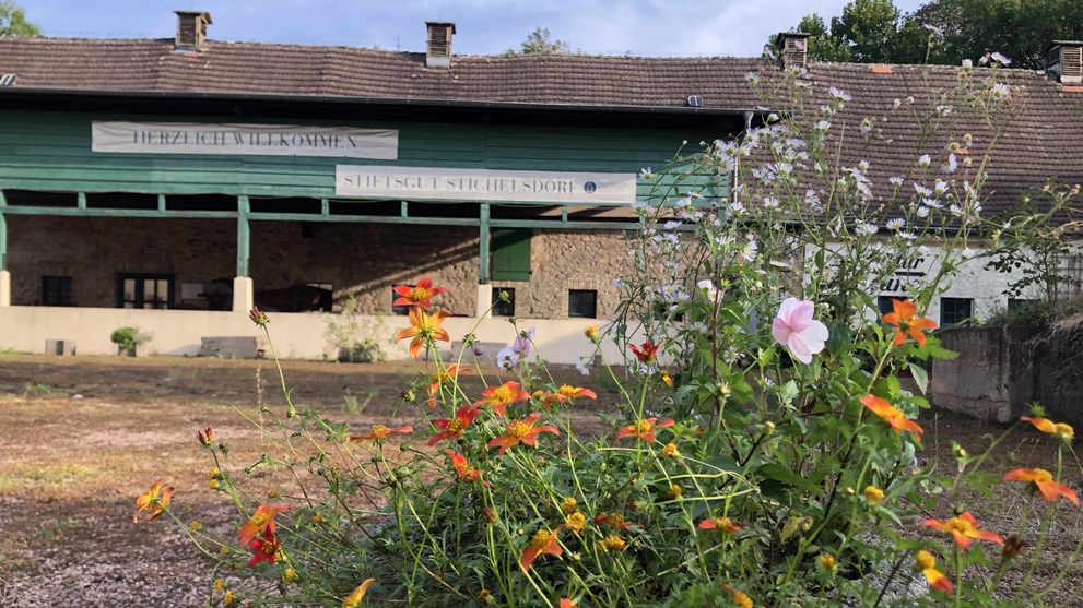 Blick in den großen Hof des Stiftsguts mit blühenden Blumen im Vordergrund.