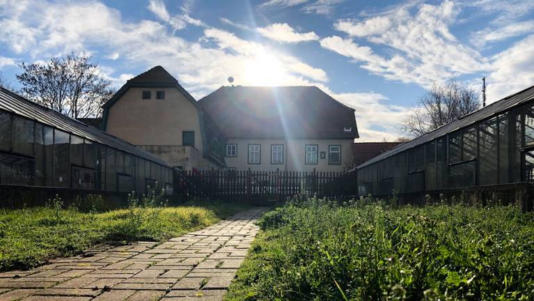 Ein Haus in Stichelsdorf wird von der Sonne beschienen