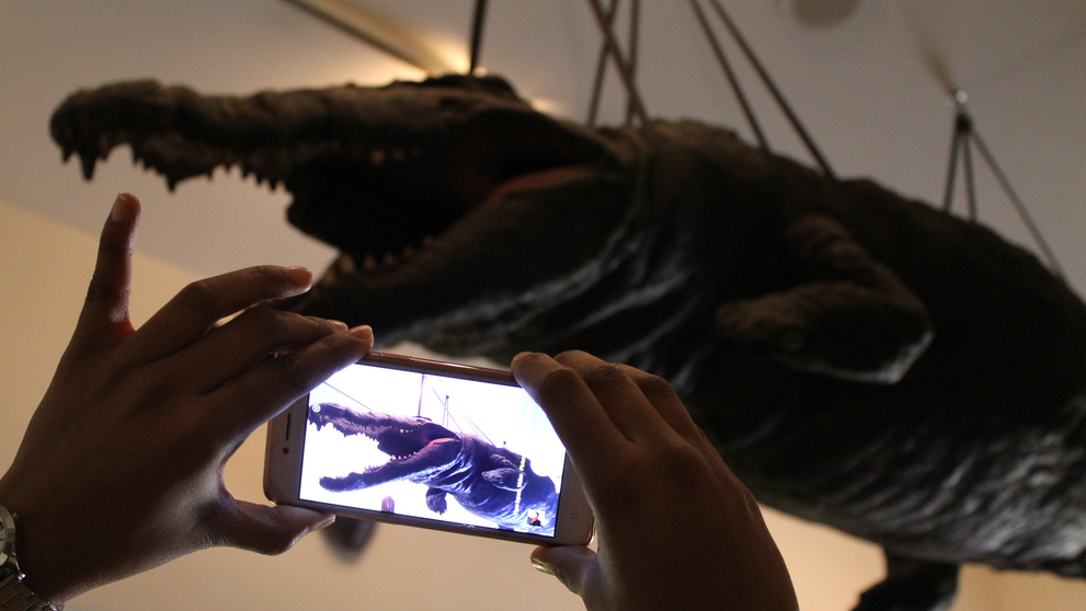 The stuffed crocodile in the Wunderkammer is photographed with a mobile phone.