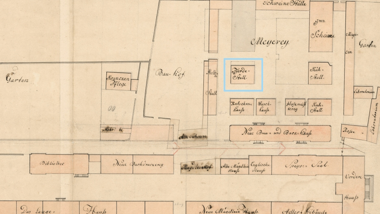 Detailed view of a site plan of the Francke Foundations with the designations of the buildings around 1750. The Small Barn is marked as a horse stable.