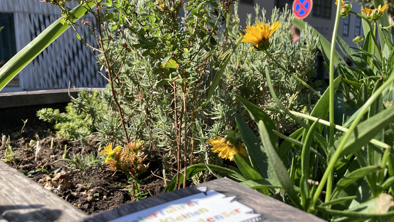 Auf dem Blumenhochbeet am Franckeplatz liegt der Naturführer über die Pießnitz, an dem die Kinder des Krokoseums mitgewirkt haben. In den Blumen versteckt sich eine Gottesanbeterin.